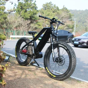Vélo Électrique Tout-Terrain 5 Vitesses Automatiques | Pneus Fat | Transmission Mid-drive | Pour Ville & Montagne – Amahra Tech Store